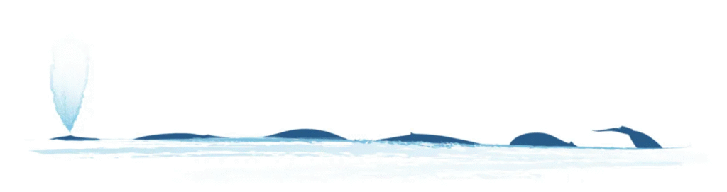 Screenshot 2025 11 10 200214